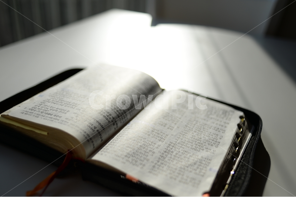 성경,읽기,햇빛,은혜,기도,감사,바이블,흑백톤,사진,구절,종교,신앙,religion,belief,faith,사물,물건,오브젝트,thing,object,matter