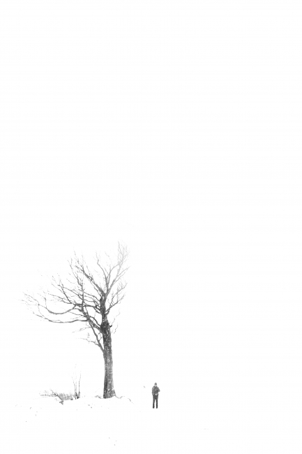 겨울풍경,눈,그림,눈과나무,설경,자연,감성,겨울,계절,winter,season,식물,자연,plants,nature,나무,trees,wood,사람,인물,인간,human,person,흑백,모노톤,monochrome,black and white