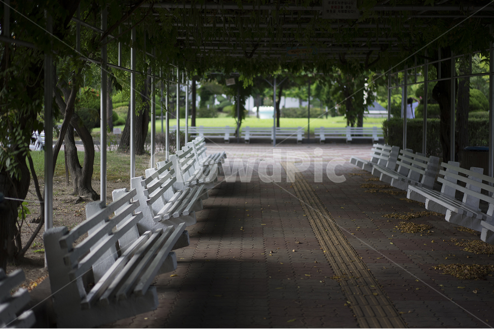 벤치,도서관,자리,오후,그늘,의자,쉼터,자연,풍경,nature,landscape,porch,현관,patio,안마당