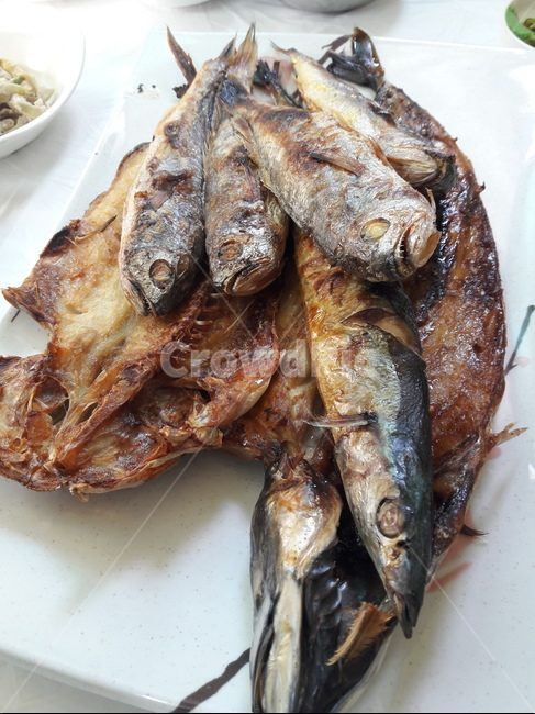 생선구이,fish,요리,food,grilledfish,bakedfish,sidedishes,반찬,한식,식사,meal,koreanfood,home2,homemademeal,물고기,sealife,해양생물,청어,animal,동물,herring,음식,식재료,요리,food,cook,meal,dishes,food reserves