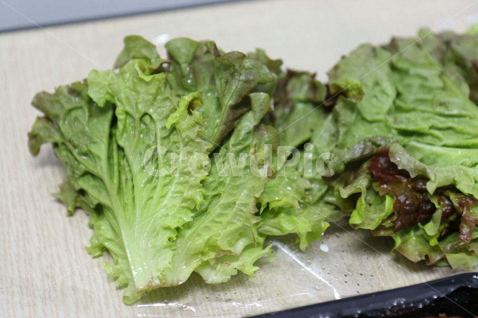 상추,음식,채소,야채,쌈,음식,식재료,요리,food,cook,meal,dishes,food reserves,채소,야채,vegetables