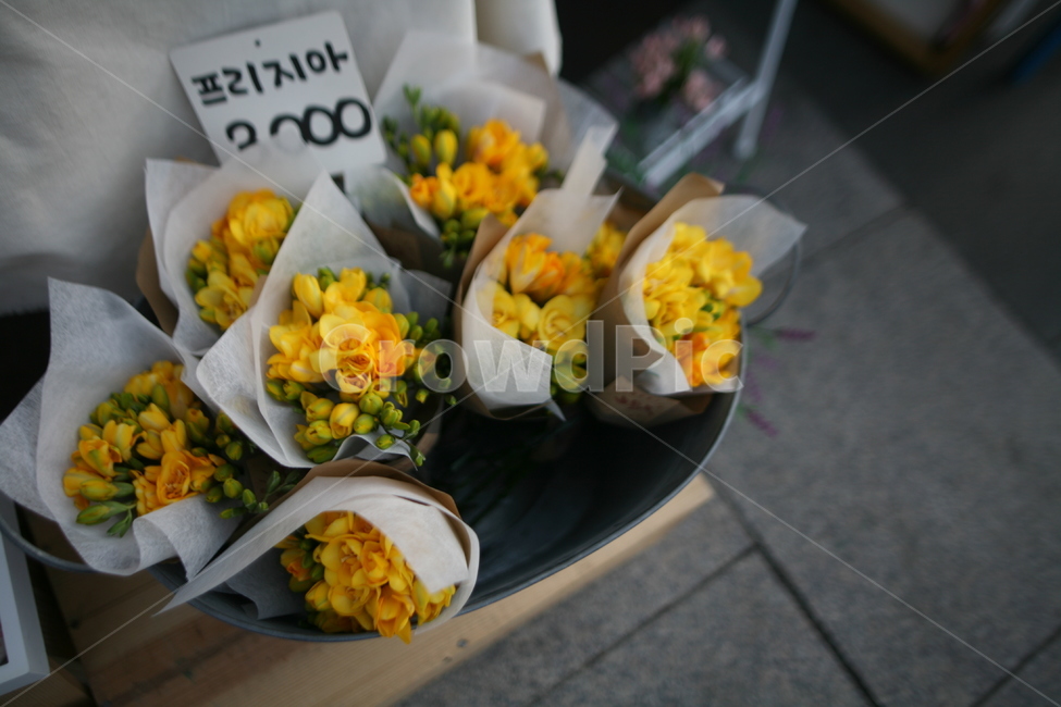 프리지아,꽃,봄,꽃다발,감성,감성사진,flower,식물
