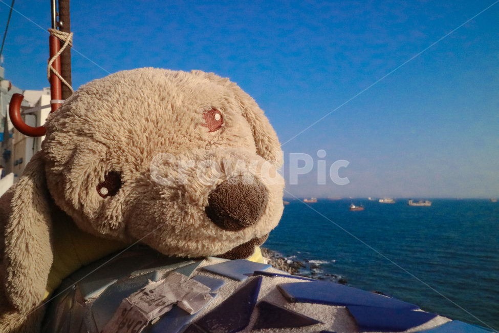 인형,바다,강아지,나른함,피곤함,감성,관광,바라봄,영도,부산,sensible,잠,오브젝트,사물