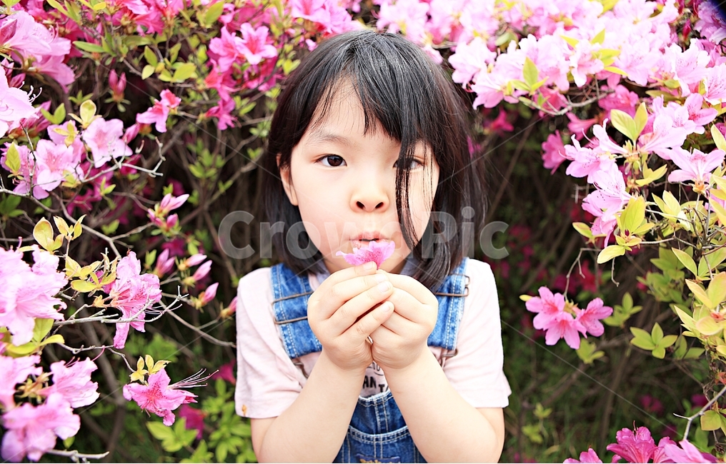 여자아이,아이,어린이,사람,자연,배경