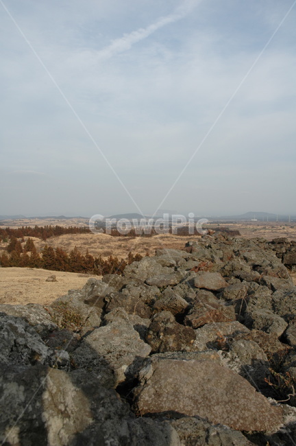 natuer,자연,jejuisland,제주도,autumn,가을,돌담,풍경