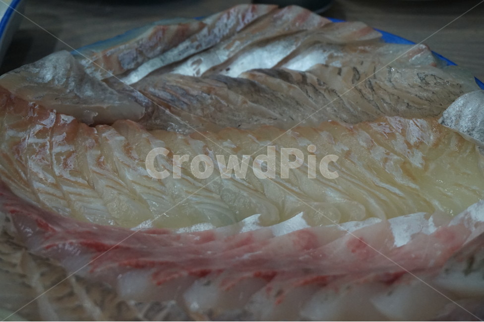 회,광어회,우럭,도다리,단백질,건강,다이어트,활어,물고기,fish,슬라이스,자르다,차리다,셋팅,set,정갈한,정리된,먹는,질감,투명,생선회,생선,바다,바닷가,먹다,스시,맛집,광어,맛있다,맛있는,cook,meal,dishes,수산물,해산물,fisheryproducts,seafood,날것,생것,싱싱한,신선한,참치,와사비,요리,모듬회,회모듬,음식,food,식재료,음식,식재료,요리,food,cook,meal,dishes,food reserves,수산물,해산물,fishery products,seafood