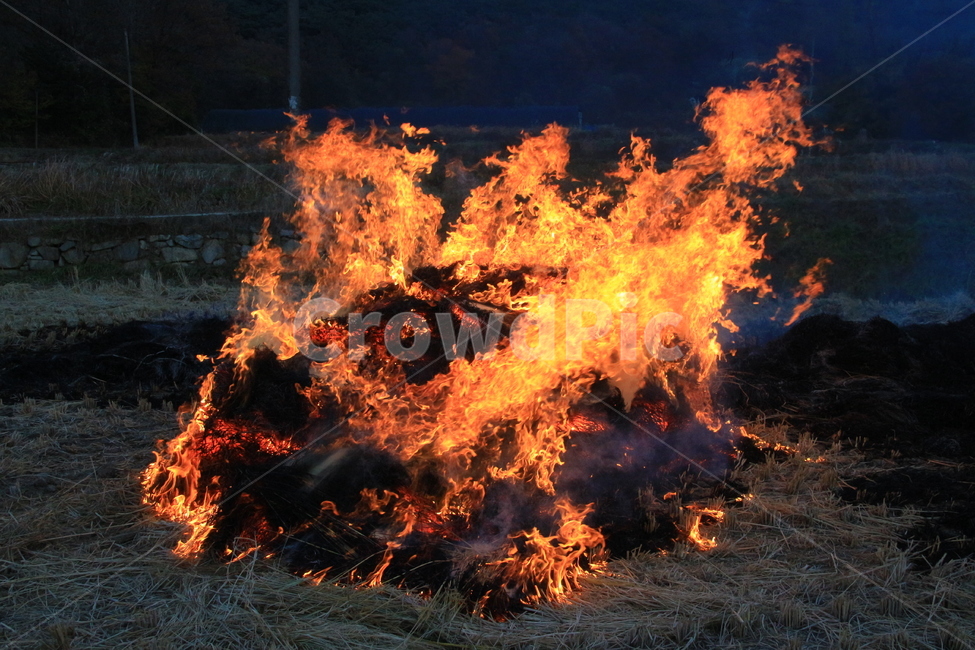 시골,논,불,밭,밭두렁