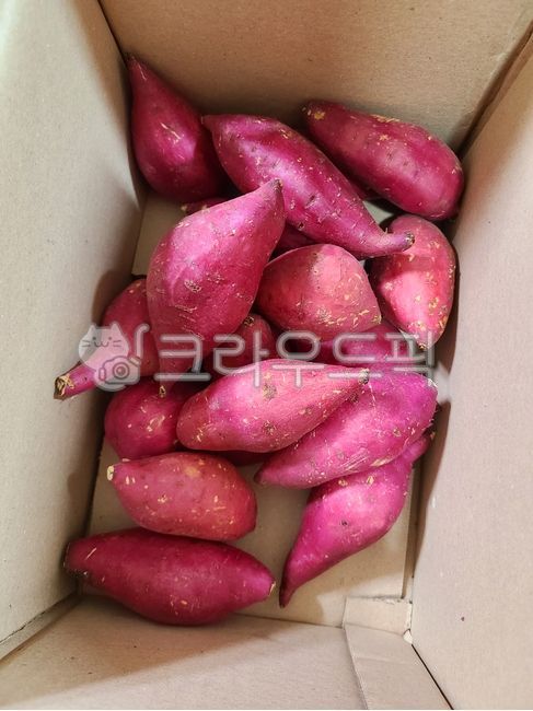 chestnut sweet potato,sweet potato,Honey sweet potato,Pumpkin Sweet Potato,Fresh sweet potatoes,snack,Red Clay Sweet Potato,vegetable,food,Roasted Sweet Potato