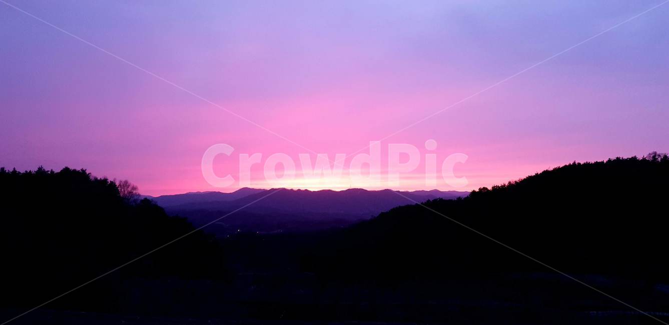 노을,해,sunset,풍경,자연,숲,보라빛