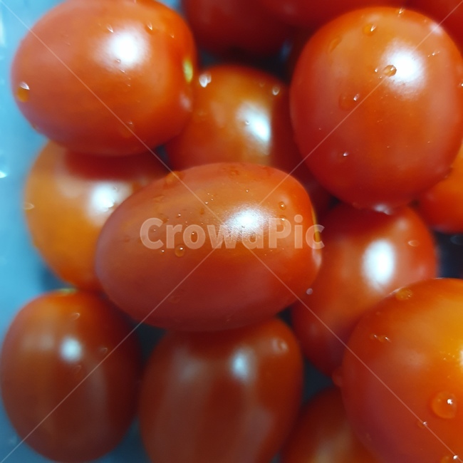 토마토,방울토마토,채소,과일,음식,신선함,빨간색,식물,plant