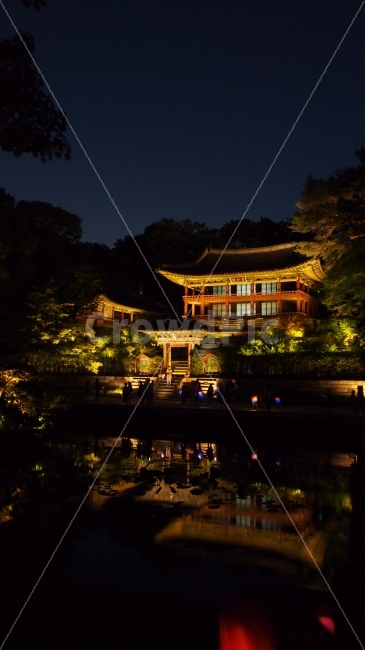 창덕궁,후원,궁,한국,야경,야경사님,달빛기행,한국전통,전통,야경,밤,풍경,nightscape,night,landscape,한국전통,한국문화,korean traditional,korean culture,랜드마크,landmark,tourist attraction,한국랜드마크,한국관광지,한국명소,korea landmark,korea tourist attraction,building,건물,architecture,건축물,pagoda,탑,shrine,신사,worship,예배