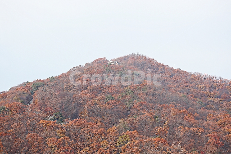 남한산성,성,성곽,단풍,낙엽,길,둘레길,숲,숲길,담,돌담,가을,자연,풍경,벽,울긋불긋,산성,식물,가을,계절,fall,autumn,season,자연,풍경,nature,landscape,outdoors,옥외,hill,언덕