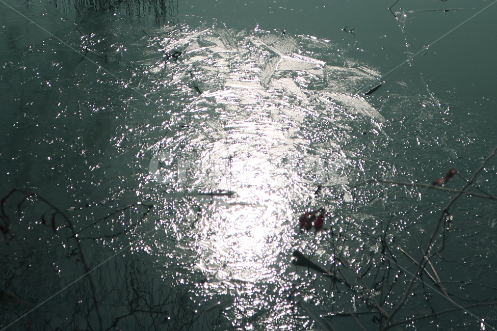 water,물,그림자,빛,햇빛,호수