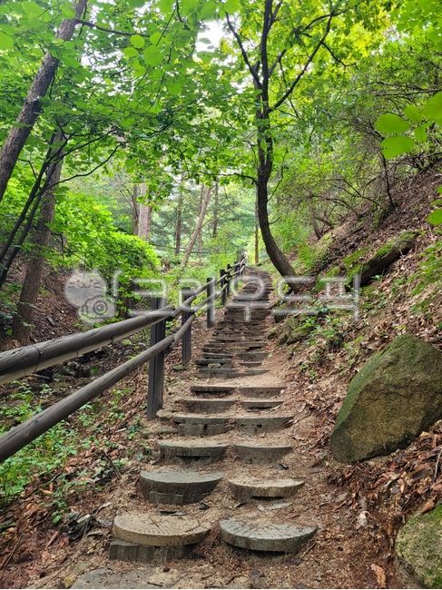 등산로, 산길, 숲길, 산책로, 자연, 사진,이미지,일러스트,캘리그라피 - generalkor작가