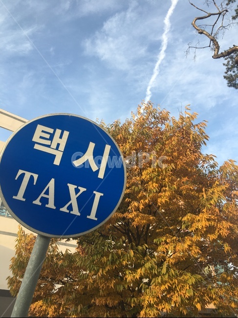 roadsign,도로표지판,symbol,상징,sign,기호