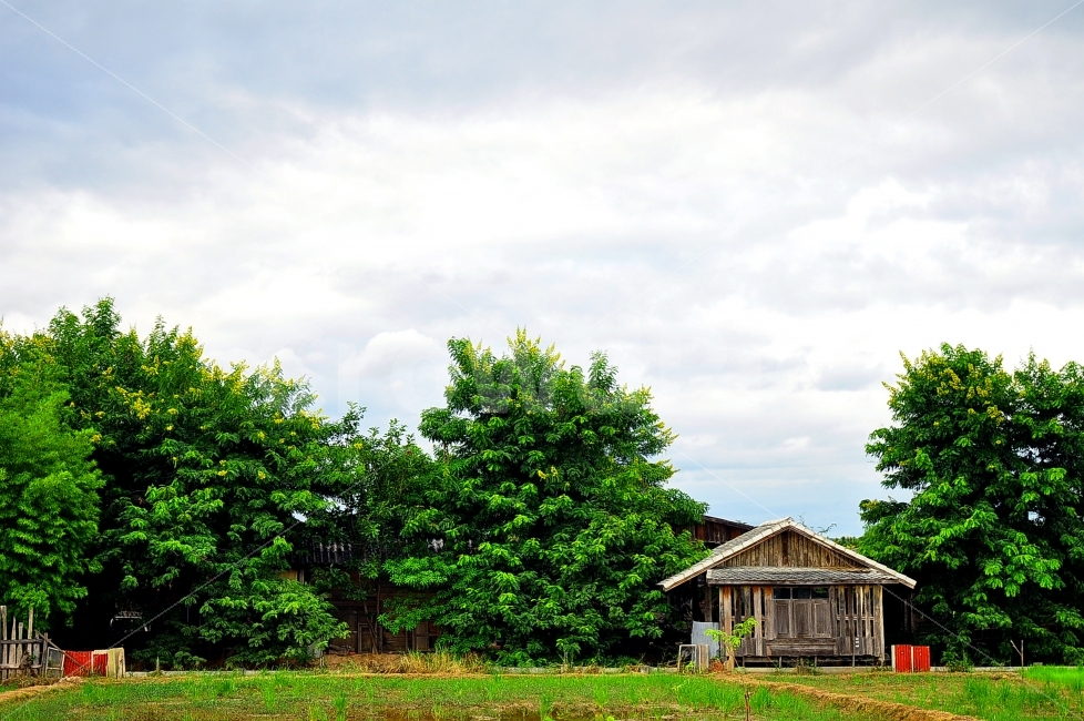 태국,배경,오두막,집,선교,잔디,풀,땅,나무,하늘,구름,고요,평안,thailand,background,shack,cabin,house,wooden,wood,missionary,grass,grassland,trees,sky,clouds,calm,peaceful,자연,풍경,nature,landscape,시골,마을,country,rural,town,해외,외국,세계,foreign,oversea,world,outdoors,옥외,building,건물