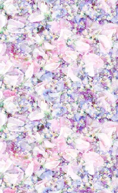 플라워,봄,꽃향기,flower,art,액자