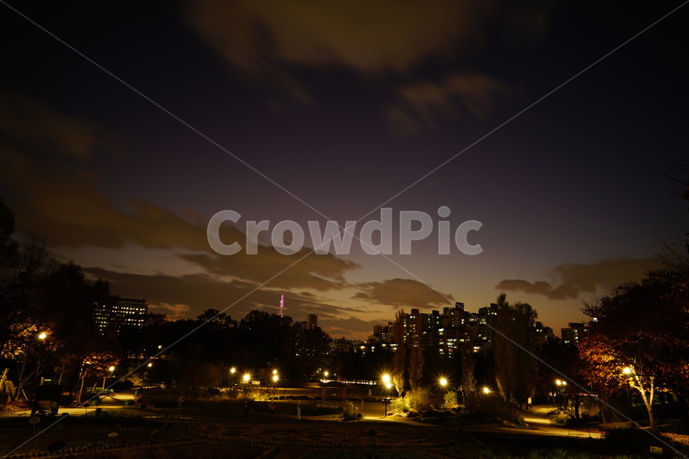 light,빛,flare,플레어,구름,하늘,야경,밤,풍경,nightscape,night,landscape,도시,city