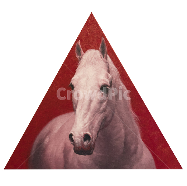 말,말그림,유화,예술,그림,백마,미술,교육,색상,색깔,바탕,배경,배경이미지,백그라운드,동물,animal,예술,art,누끼,remove background