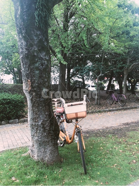 봄,자전거,공원,나들이,휴식,자연,풍경,nature,landscape,transportation,교통,bicycle,bike,vehicle,차량