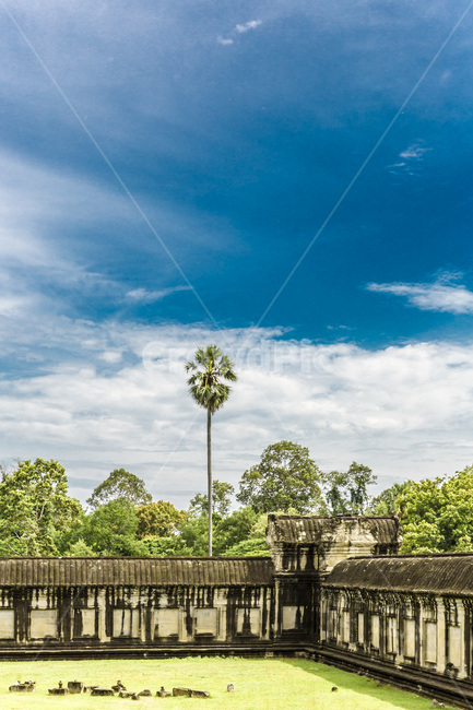 캄보디아,앙코르와트,세계문화유산,유적지,사원,감성,건축물,지붕,랜드마크,관광지,자연,풍경,고건축,하늘,구름