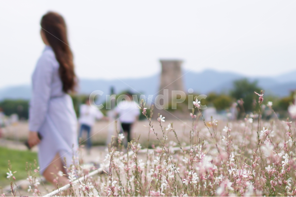 풍경,꽃,경주,첨성대,분위기,좋은날,식물,자연,plants,nature,꽃,flower,사람,인물,인간,human,person,여성,여자,woman,female,lady