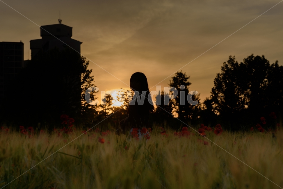 night view,landscape photography,city,daily life photos,Nikon Imaging Korea,nikon,photo stargram,D750,Jiro Ball,sight,Emotion,life photo,NIKON,Character,pose,nature,portrait,picture,Emotional photo,sunset,daily,silhouette,snapshot