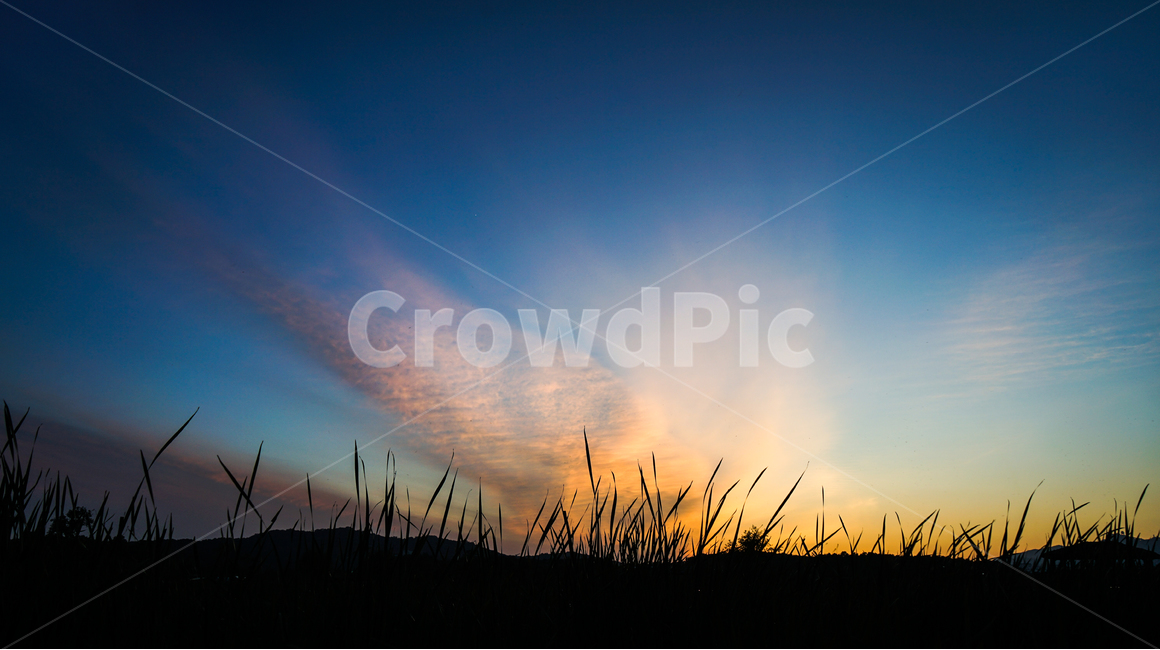 석양,노을,해넘이,하늘,풍경,자연,풀잎,자연,풍경,nature,landscape,grass,잔디,plant,식물,outdoors,옥외,sky