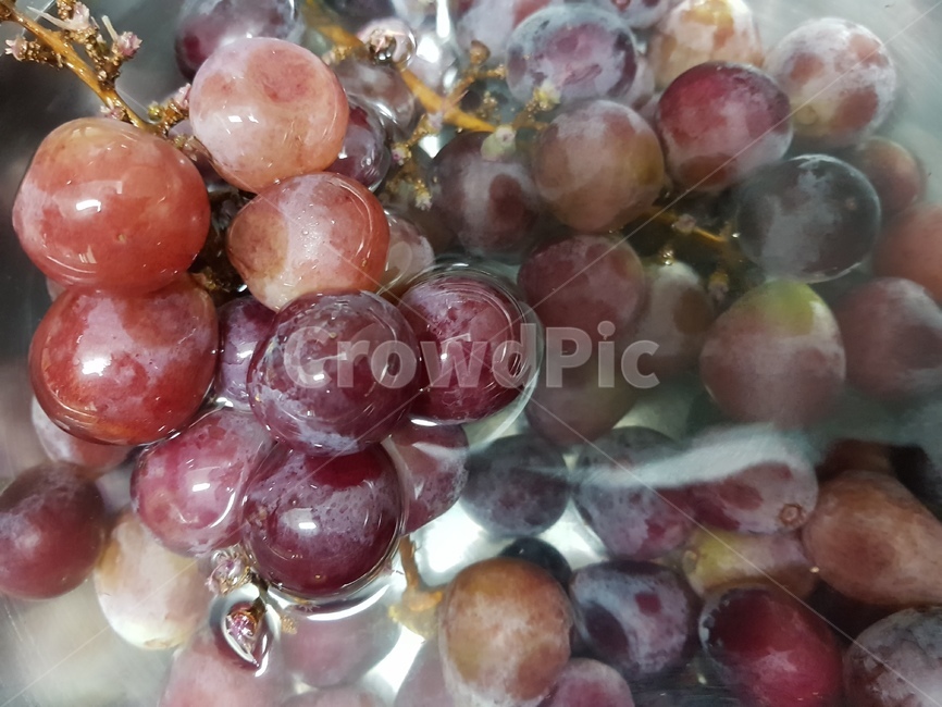 거봉,과일,fruit,음식,포도,음식,식재료,요리,food,cook,meal,dishes,food reserves