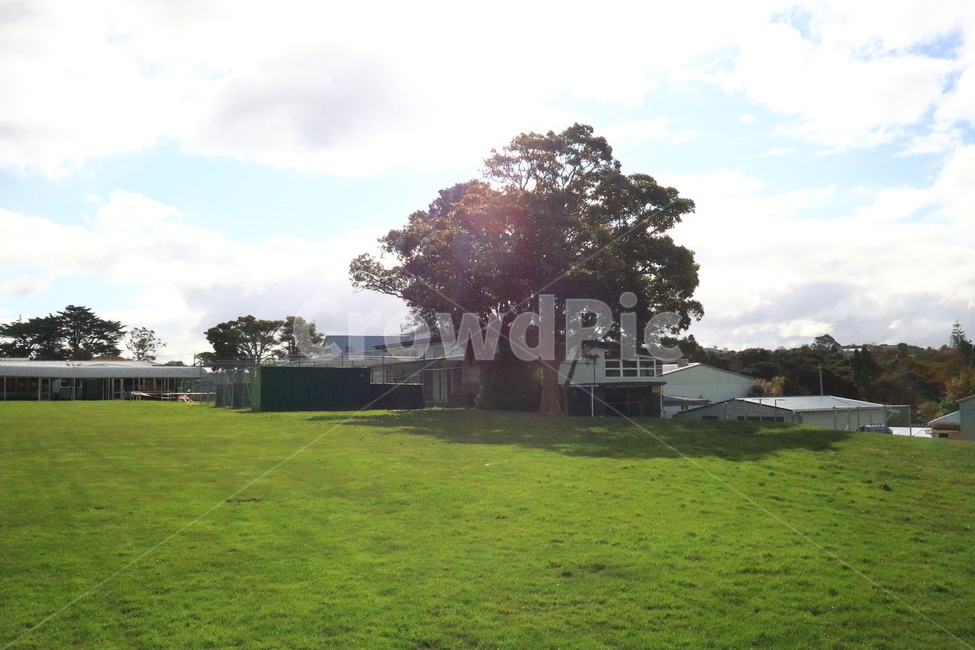 park,peaceful,평화로운,green,잔디,공원,grass,나무,tree,푸른,자연,풍경,nature,landscape,plant,식물,lawn