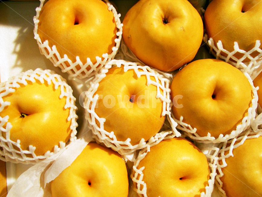 배,과일,가을,수확,추석선물,음식,식재료,요리,food,cook,meal,dishes,food reserves,과일,열매,fruit