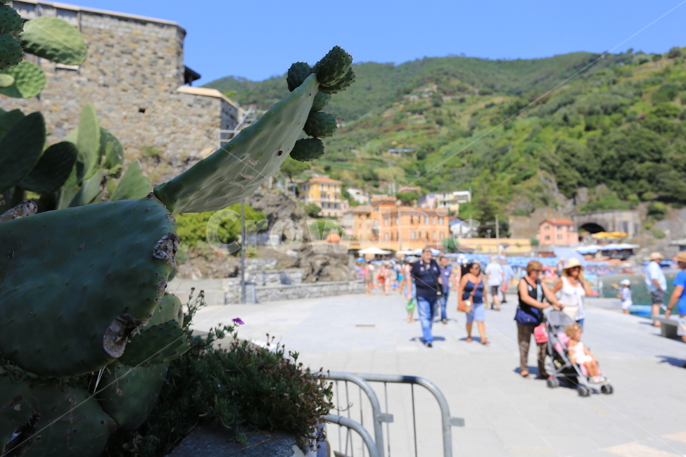 이태리,이탈리아,친퀘테레,italy,cinqueterre,마나롤라,리오마지오레,몬테로소알마레,베르나차,코르닐리아