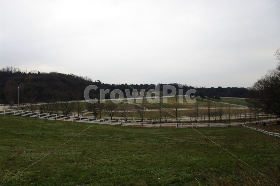 하늘,목장,울타리,풍경,겨울나무,자연,풍경,nature,landscape,field,들,outdoors,옥외,grassland,목초지,farm,농장,rural,농촌,pasture