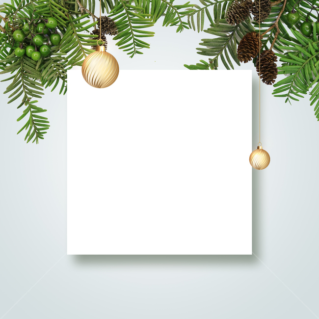 크리스마스,크리스마스배경,일러스트,겨울,배경,백그라운드,배경일러스트,3d,성탄절,오너먼트,크리스마스트리,크리스마스장식,프레임,솔방울,트리,겨울,계절,winter,season,기념일,축하,anniversary,congratulation,celebrate,celebration,메리크리스마스,성탄절,merry christmas,그래픽,일러스트레이션,graphic,illustration