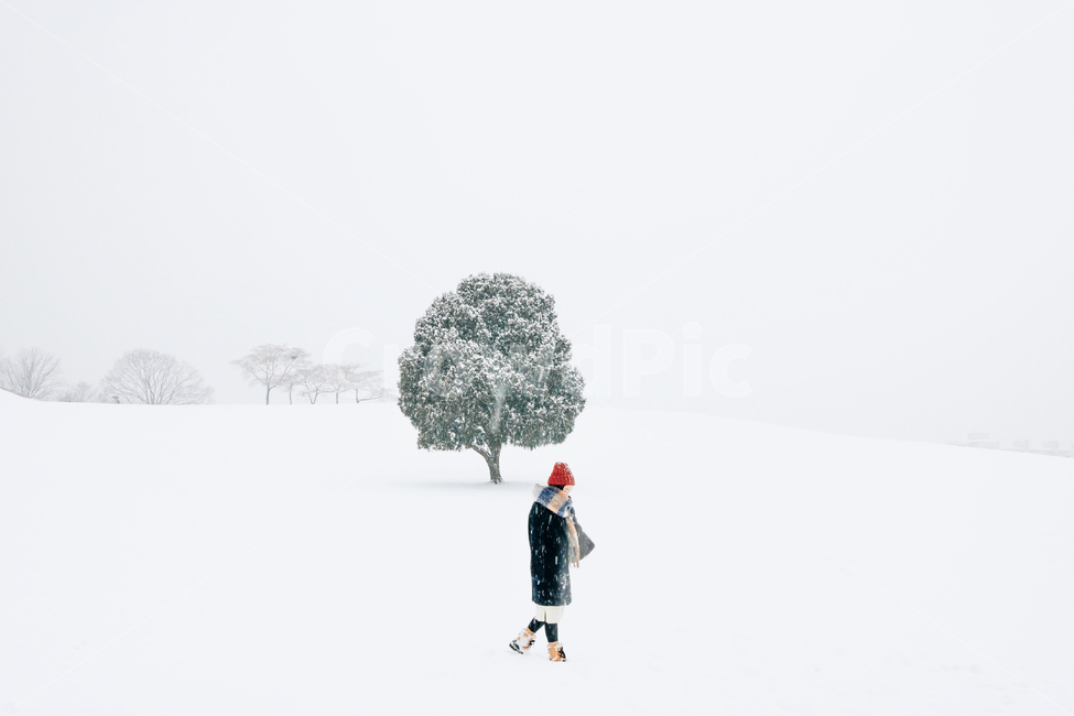 person,사람,human,나무,인간,눈,설경,올림픽공원,나홀로나무,겨울,계절,winter,season,사람,인물,인간,human,person,여성,여자,woman,female,lady