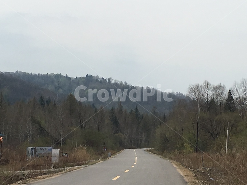 풍경,대로,산,삼림,길