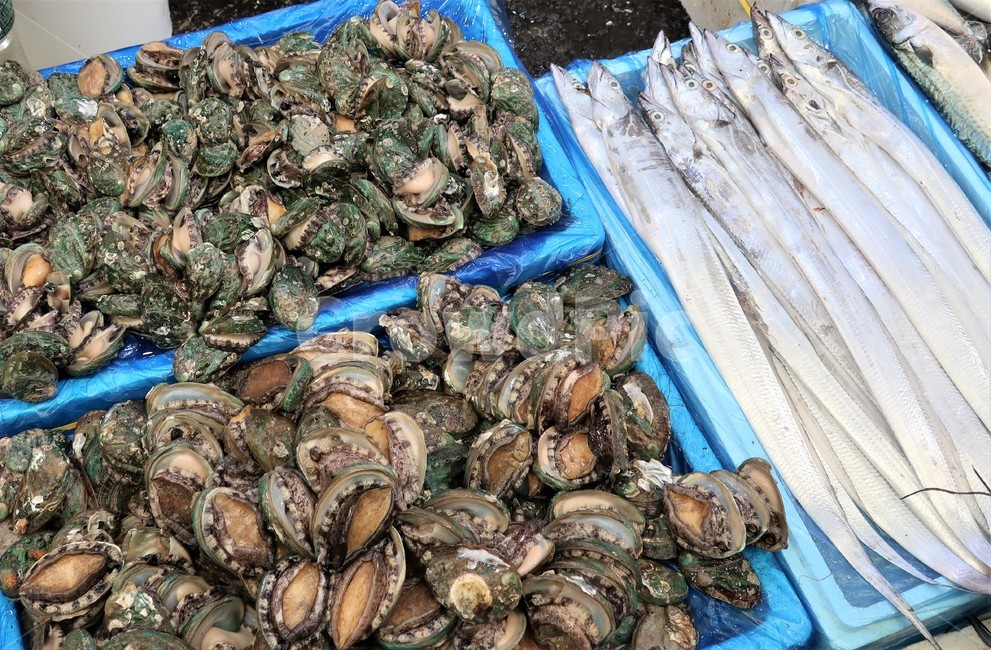 전복,해산물,수산물,식재료,전복회,껍데기,어패류,해물,씨푸드,먹거리,갈치,음식,식재료,요리,food,cook,meal,dishes,food reserves,수산물,해산물,fishery products,seafood