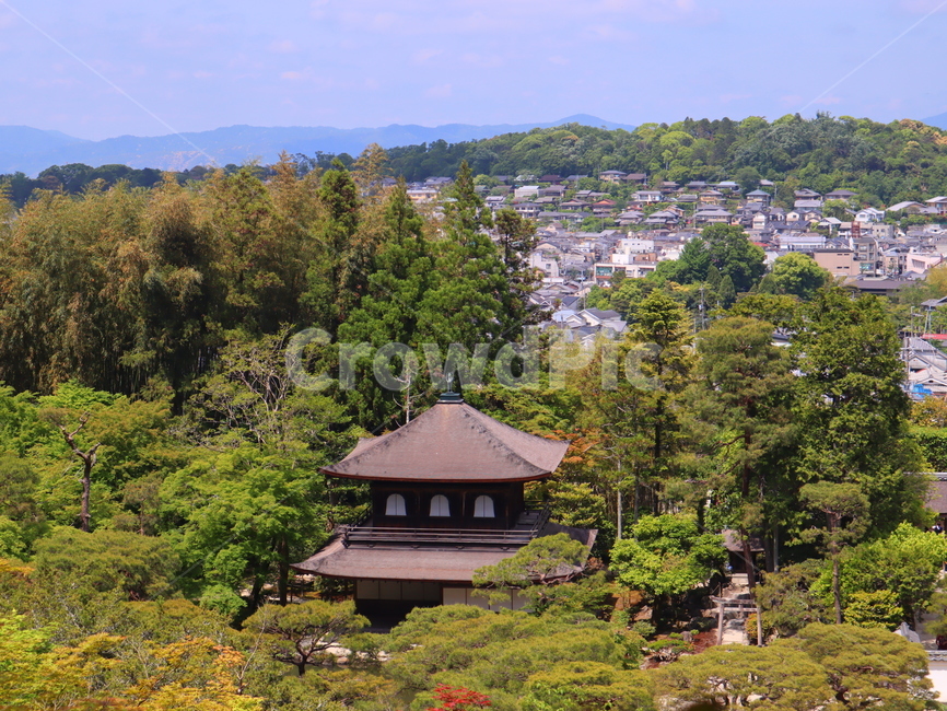 교토,은각사,풍경,일본,건물,전통,japan,kyoto,건축물