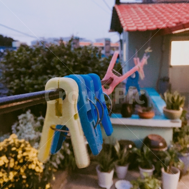 빈티지,감성,감성사진,빈티지사진,시골,빨래집게,빨래,비,비오는날,rain,rainy,감성,sensible,feeling,빈티지사진,빈티지느낌,빈티지감성,vintage,사물,물건,오브젝트,thing,object,matter