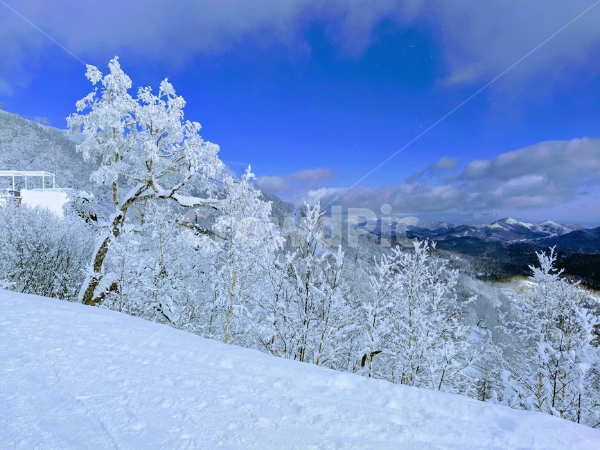 북해도,홋카이도,풍경,일본,설산,눈,관광,겨울,설,눈꽃,눈꽃테라스