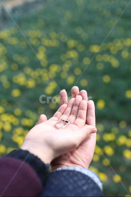 결혼,반지,연인,감성사진,손,풍경,wedding,사람,인물,인간,human,person,신체일부,몸,body,연인,커플,사랑,lover,couple,결혼,혼례,웨딩,wedding,marriage,marry,기념일,축하,anniversary,congratulation,celebrate,celebration,감성,sensible,feeling
