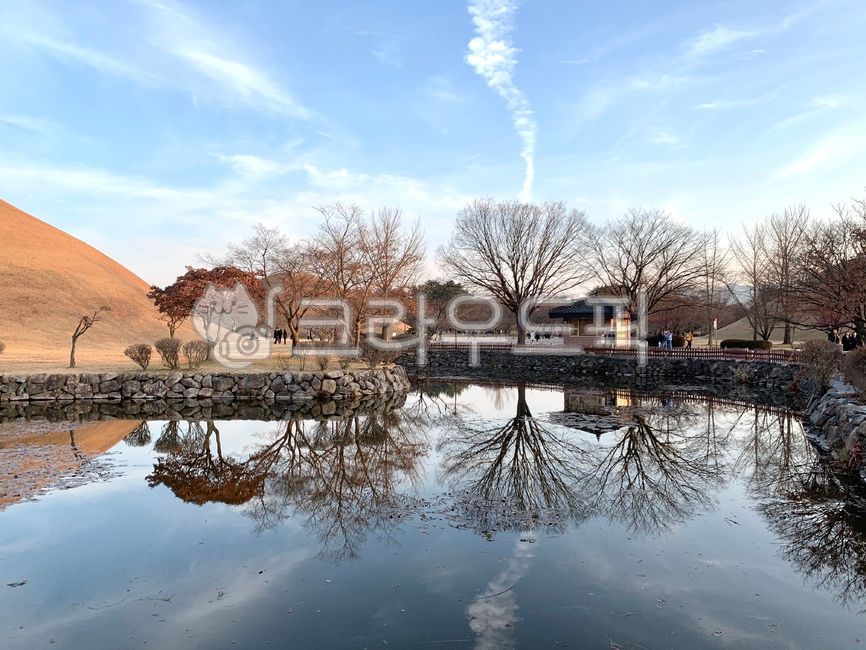 경주,천마총,경주관광,신라시대,경북경주시,천마총연못