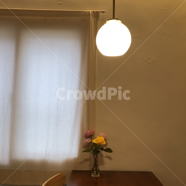 화분,식탁,카페,저녁,분위기,감성