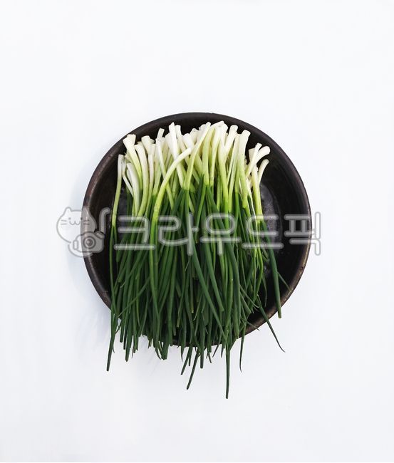 쪽파, 파, 요리, 식재료, 나물, 사진,이미지,일러스트,캘리그라피 - 네모유작가