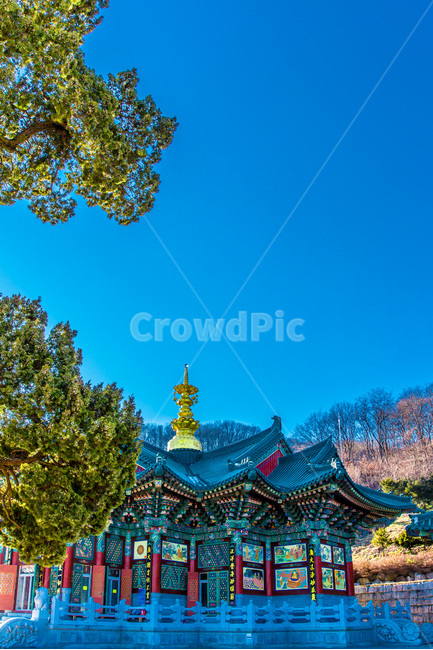 단청,기와,청기와,문양,사찰,불교,전통가옥,채색,한국전통,한국문화,korean traditional,korean culture,종교,신앙,religion,belief,faith,건축물,건물외관,exterior,building,structure,architecture,construction