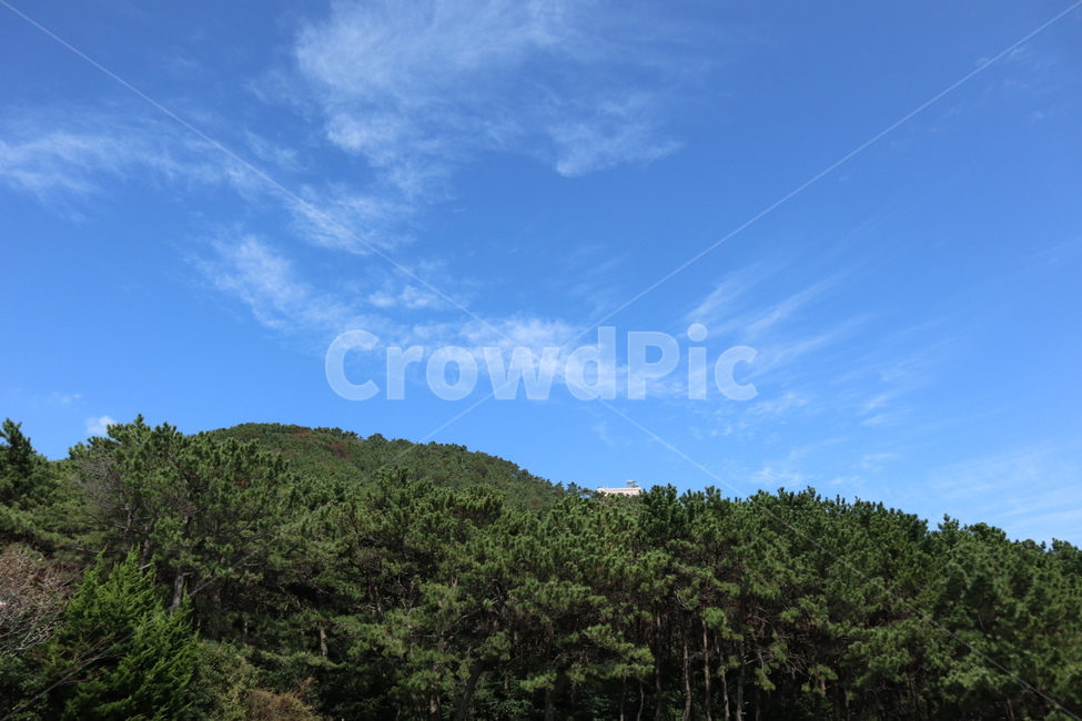 tree,나무,plant,식물,sky,자연,cloud,하늘,구름,outdoors,nature,자연,풍경,nature,landscape,옥외