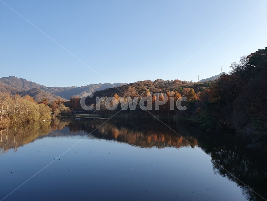 nature,자연,water,물,반영
