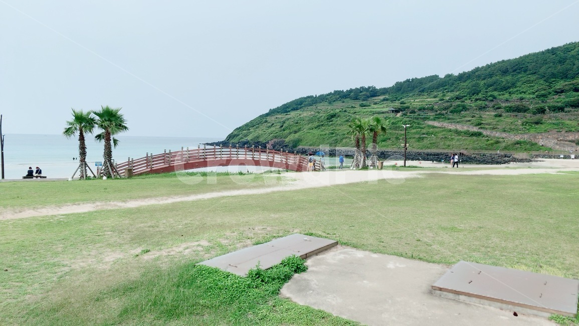 제주도,바다,자연,풍경,감성
