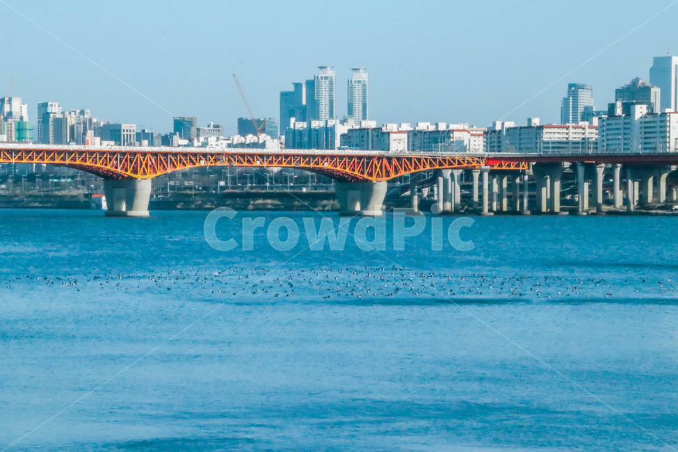 building,건물,bridge,다리,한강,water,duck,도시,풍경,city,landscape
