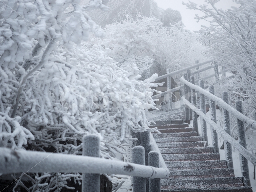 겨울,한겨울,한파,눈,등산,계절,덕유산,정상,winter,snow,하늘,sky,감성,겨울,계절,winter,season,자연,풍경,nature,landscape,한국자연풍경,한국자연경관,korea nature landscape,outdoors,옥외,handrail,난간,banister